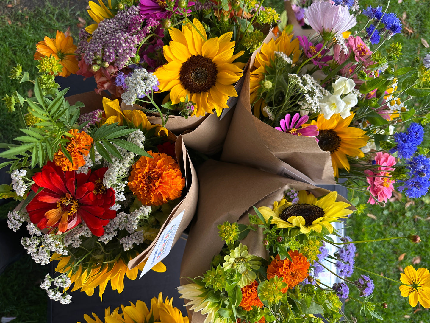 Farmstand Location & Hours